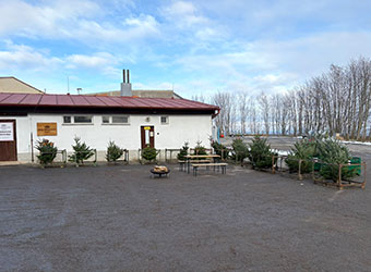 vánoční jedličky