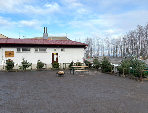 prodej vánočních stromků