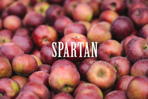 kupa jablečných Spartanů pohromadě